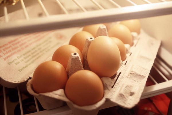menyimpan telur di dalam kulkas